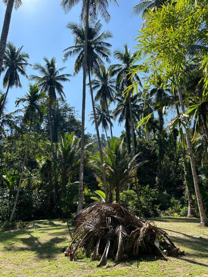 Forestel Homestay Kohkood ฟอเรสเทล โฮมสเตย์ เกาะกูด Ban Khlong Chao Extérieur photo