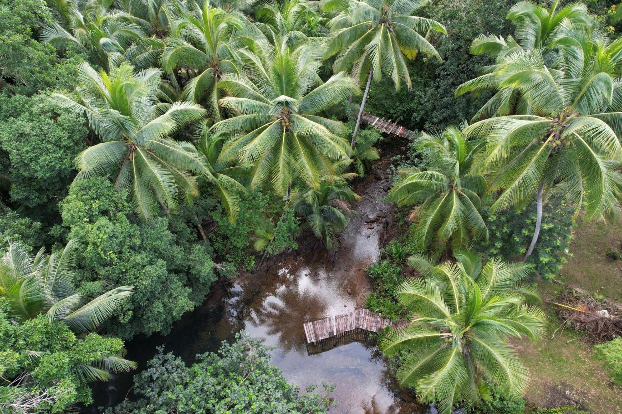 Forestel Homestay Kohkood ฟอเรสเทล โฮมสเตย์ เกาะกูด Ban Khlong Chao Extérieur photo